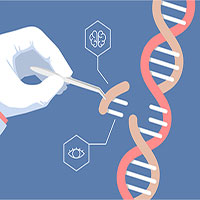 Những tác hại khôn lường từ thí nghiệm chỉnh sửa gene người của nhà khoa học Trung Quốc