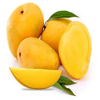 Mục sở thị giống xoài ngon nhất thế giới