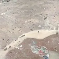 Cơn mưa trút hàng trăm con cá xuống thị trấn Ấn Độ
