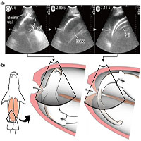 Cá mập con bơi sang tử cung khác để ăn trứng chưa nở của mẹ