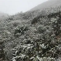 Chuyên gia khí tượng: Miền Bắc đón đợt rét đậm, rét hại khắc nghiệt nhất 10 năm qua