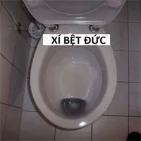 Những lý do thú vị khiến xí bệt của Đức có cống thoát ngược đời với thế giới