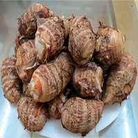 Những lợi ích sức khỏe bất ngờ của củ khoai sọ