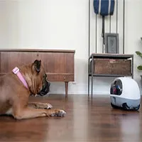 Robot cho phép người dùng "gọi video" với thú cưng từ xa