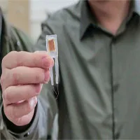 Các nhà khoa học tạo ra chip giúp kiểm soát cân nặng