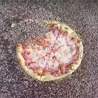 Mục đích quan trọng đằng sau cảnh giòi lúc nhúc ăn hết bánh pizza trong 2 giờ