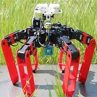 Phát minh loại robot mới có thể di chuyển mà không cần GPS