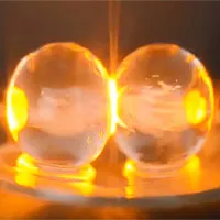 Điều kỳ lạ xảy ra khi bạn cho nho vào lò vi sóng
