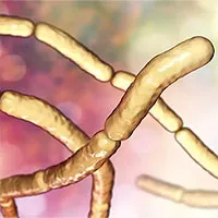 Vi khuẩn hóa "thây ma" đe dọa nhiều bệnh nhân