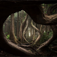 Ảnh chiến thắng cuộc thi Nhiếp ảnh gia Phong cảnh quốc tế