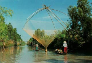 Thảm thực vật và động vật quý hiếm cần được bảo vệ