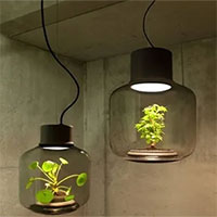 Những phát minh tuyệt vời thân thiện với môi trường... và cả con người!