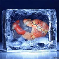 Vì sao chưa thể đóng băng nội tạng để lưu trữ như trứng và tinh trùng?