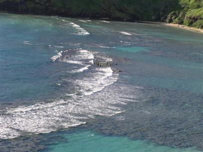 Đại dương đang bị axit hóa