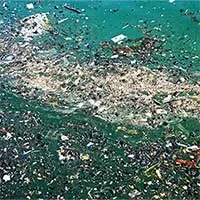 Lần đầu tiên phát hiện các hạt nhựa siêu nhỏ microplastic trong phân người