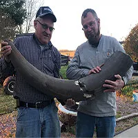 Nông dân phát hiện "siêu voi" huyền thoại mastodon giữa đồng