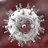 2 virus bệnh tình dục "giao phối", đe dọa sinh ra siêu bệnh mới