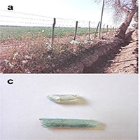 Ong tự nhiên xây tổ từ…chất thải nhựa