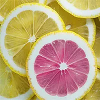 Nghiên cứu mới: Phát hiện tế bào ung thư "bất tử" nhờ vitamin C