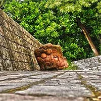 Nhiều loài tuyệt chủng sống dậy ở "Thành phố của Thần Khỉ"