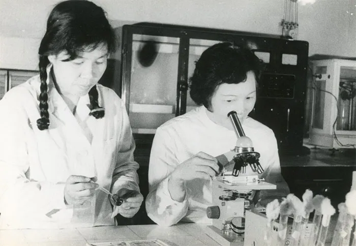 Vi Kim Ngọc at a microscope