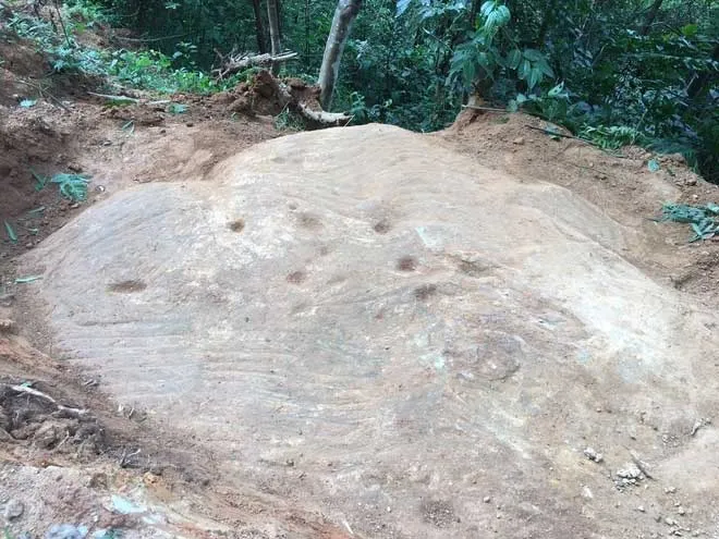 Ancient rock carved with terraced rice fields in Mù Cang Chải
