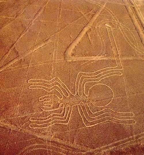 Đường kẻ Nazca