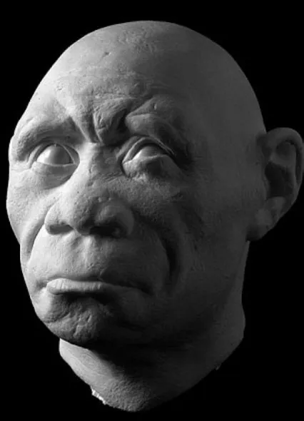Chân dung người phụ nữ "Hobbit" trong thực tế