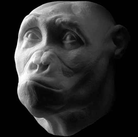 Chân dung loài Sahelanthropus tchadensis