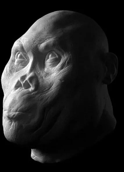 Chân dung người đàn ông thuộc loài Homo Rudolfensis