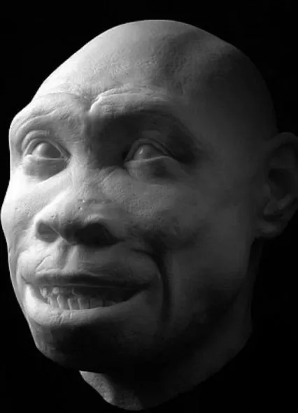 Chân dung Turkana Boy