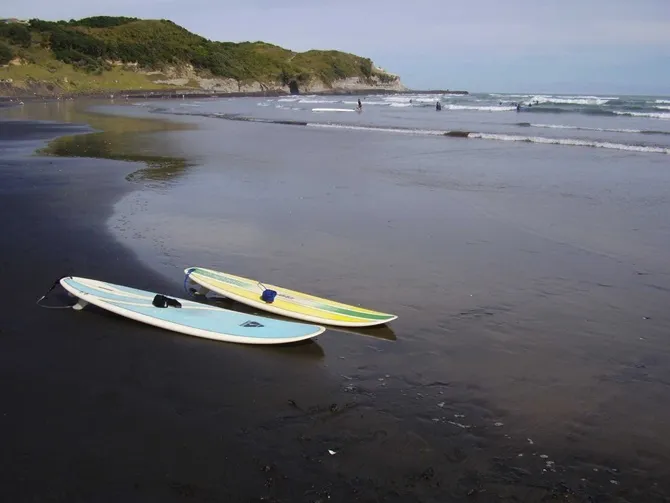Bãi biển Muriwai
