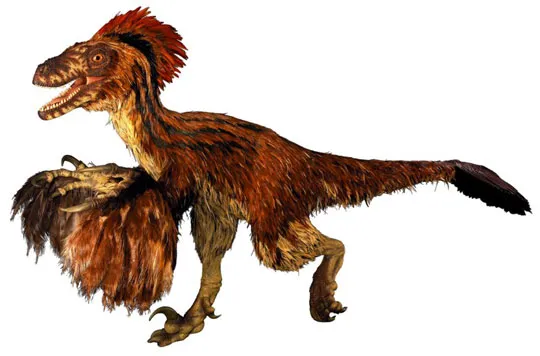 Khủng long bay Archaeoraptor