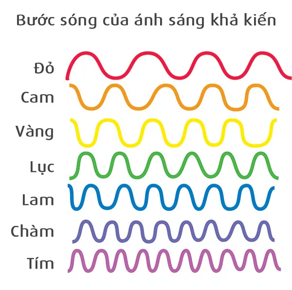 Bước sóng của ánh sáng