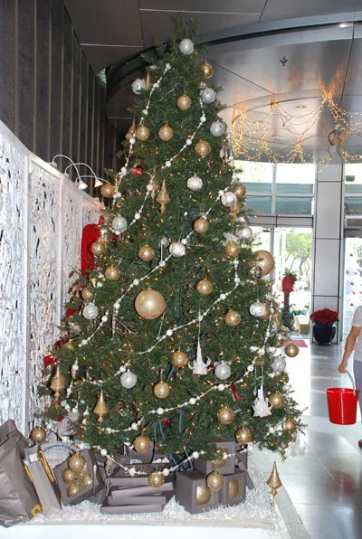 Cây thông Noel
