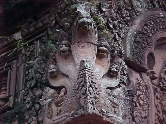 Tôn thờ loài rắn