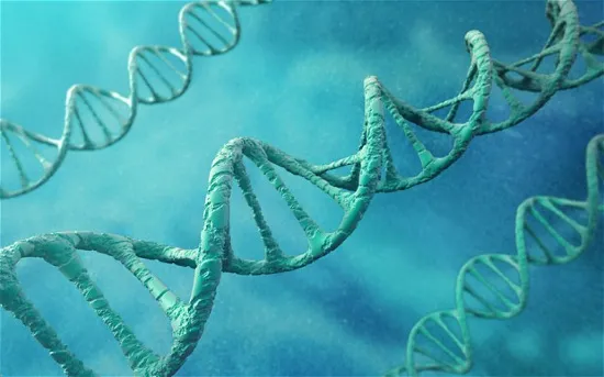 Dịch vụ xét nghiệm gene tư nhân đã trở thành một lĩnh vực kinh doanh béo bở trong vài năm trở lại đây.