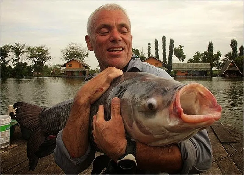 Jeremy Wade đang ôm một con cá chép Thái ông vừa bắt được ở sông Mekong. Con cá này còn non và kích thước của nó chỉ bằng 1 phần rất nhỏ kích thước khi trưởng thành. Một con cá chép Thái trưởng thành có thể đạt chiều dài hơn 3m và nặng gần 300kg. Đây là một trong những loài cá nước ngọt lớn nhất trên hành tinh.
