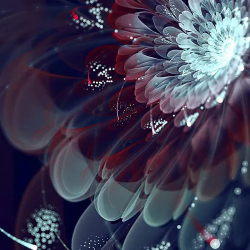 Hình học Fractal ra đời và phát triển với nhiều ý tưởng mới lạ, độc đáo, gợi cho ta một cách nhìn thiên nhiên khác với cách nhìn quá quen thuộc lâu nay.