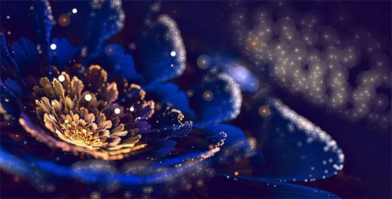 Fractal ban đầu được nghiên cứu như một vật thể toán học. Hình học phân dạng là ngành toán học chuyên nghiên cứu các tính chất của phân dạng; những tính chất không dễ gì giải thích được bằng hình học thông thường.