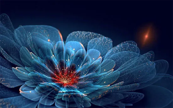 Những tuyệt tác hoa này là ứng dụng của Fractal trong khoa học máy tính.