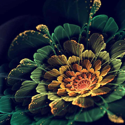 Hình học Fractal có thể giúp thiết kế các hình ảnh đẹp trên máy tính một cách đơn giản và trực quan.