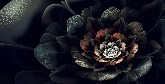 Hình học Fractal được cho là điều kì diệu của tự nhiên.