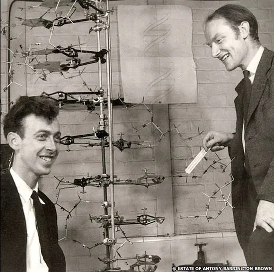Francis Crick (bên phải) và lá thư ông gửi cho con trai để giải thích về cấu trúc DNA.