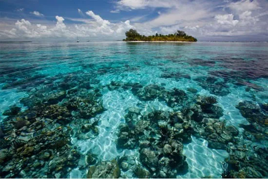Bãi biển phía Nam Caye