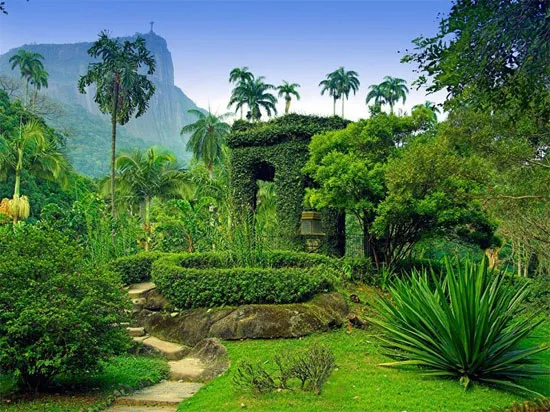 Vườn bách thảo Jardim Botnico, ở Rio de Janeiro, Brazil.