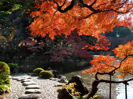 Vườn Koishikawa Korakuen, Nhật Bản.