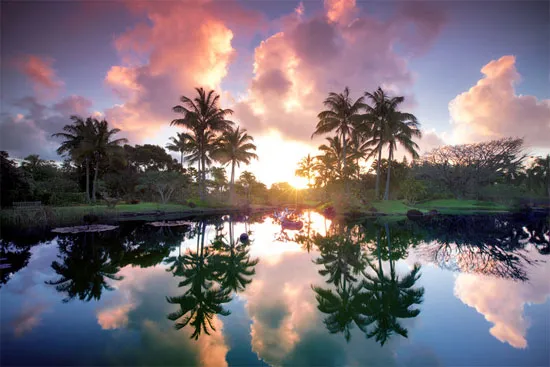 Vườn sinh thái Na Aina Kai Botanical, Hawaii.