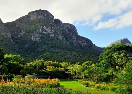 Vườn thực vật quốc gia Kirstenbosch, Nam Phi.