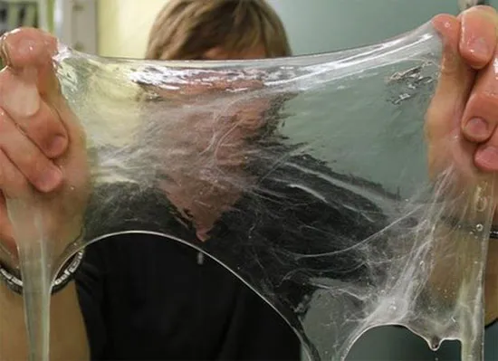 Cá mút đá có thể tạo ra tơ như tằm